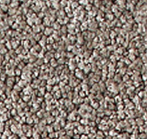 Ковролин Girloon Prestige 870 фото 1 | FLOORDEALER