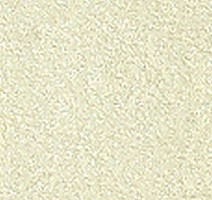 Ковролин Girloon Standard 810 фото 1 | FLOORDEALER