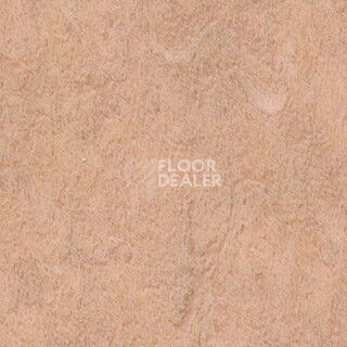 Линолеум Grabo Diamond Standart Forte 4213-470 фото 1 | FLOORDEALER