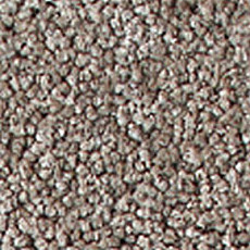 Ковролин Girloon Prestige 870 фото 1 | FLOORDEALER