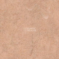 Линолеум Grabo Diamond Standart Forte 4213-470 фото 1 | FLOORDEALER