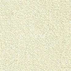 Ковролин Girloon Standard 810 фото 1 | FLOORDEALER