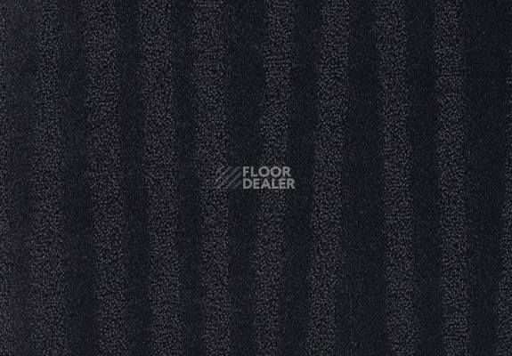 Ковролин Lano Flair Dune 813 Charcoal 3 фото 1 | FLOORDEALER