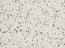 Линолеум Polyflor OHMega Ec 6005 фото 1 | FLOORDEALER