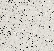 Линолеум Polyflor OHMega Ec 6005 фото 1 | FLOORDEALER