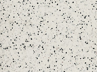 Линолеум Polyflor OHMega Ec 6005 фото 1 | FLOORDEALER