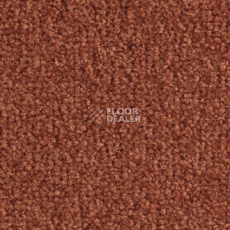 Ковролин Balsan Scenario 480 фото 1 | FLOORDEALER