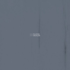 Lino Fatra DUAL 247 фото 1 | FLOORDEALER