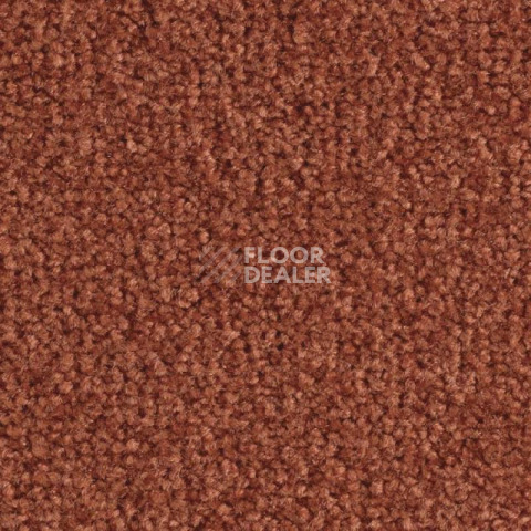 Ковролин Balsan Scenario 480 фото 1 | FLOORDEALER