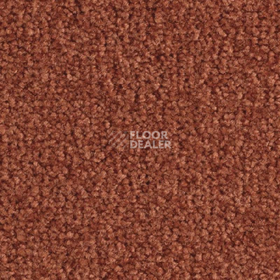 Ковролин Balsan Scenario 480 фото 1 | FLOORDEALER