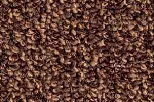 Ковролин Balsan Omega 788 фото  | FLOORDEALER