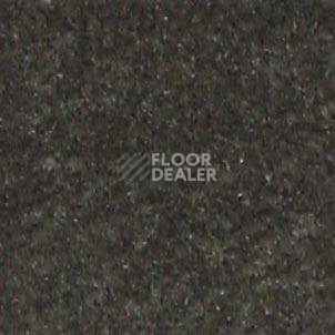 Ковролин Shaw all That Jazz 21314 фото 1 | FLOORDEALER