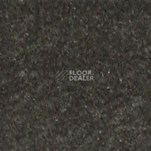Ковролин Shaw all That Jazz 21314 фото 1 | FLOORDEALER