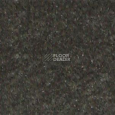 Ковролин Shaw all That Jazz 21314 фото 1 | FLOORDEALER