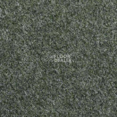 Ковролин Vebe Lindau 20 фото 1 | FLOORDEALER