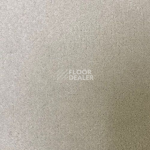 Ковролин Haima Andorra 4067 фото 1 | FLOORDEALER
