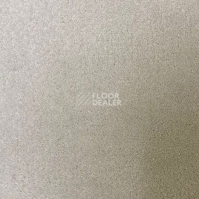 Ковролин Haima Andorra 4067 фото 1 | FLOORDEALER