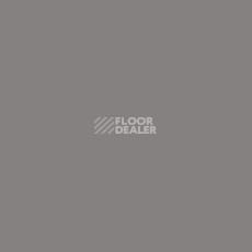 Линолеум Apoluza SportFloor PVC Dance 2.0 01 Dark gray фото 1 | FLOORDEALER