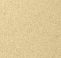 Ковролин Vorwerk Passion 1000/Modena Vorwerk 6a40 фото 1 | FLOORDEALER