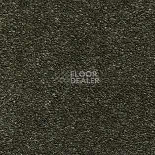 Ковролин AW The Velvet Oreade 24 фото 1 | FLOORDEALER