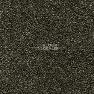 Ковролин AW The Velvet Oreade 24 фото 1 | FLOORDEALER