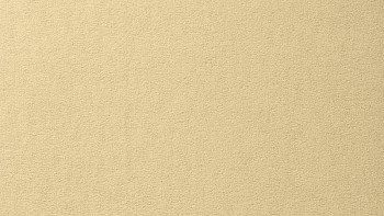 Ковролин Vorwerk Passion 1000/Modena Vorwerk 6a40 фото 1 | FLOORDEALER