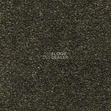 Ковролин AW The Velvet Oreade 24 фото 1 | FLOORDEALER