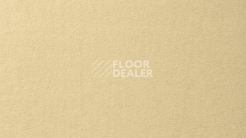 Ковролин Vorwerk Passion 1000/Modena Vorwerk 6a40 фото 1 | FLOORDEALER