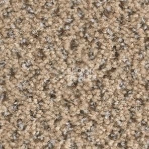 Ковролин Balsan Tango Tango 630 фото 1 | FLOORDEALER