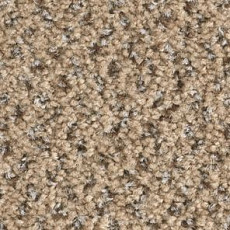 Ковролин Balsan Tango Tango 630 фото 1 | FLOORDEALER