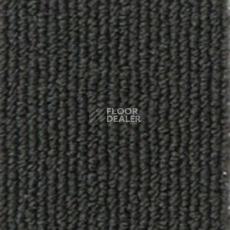 Ковролин Infloor Campus 565 фото 1 | FLOORDEALER