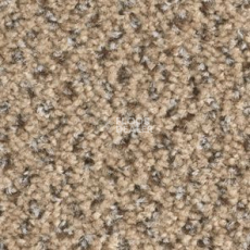 Ковролин Balsan Tango Tango 630 фото 1 | FLOORDEALER