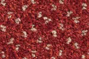 Ковролин Balsan Capitol Capitol 550 фото  | FLOORDEALER