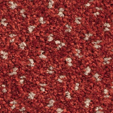 Ковролин Balsan Capitol Capitol 550 фото 1 | FLOORDEALER