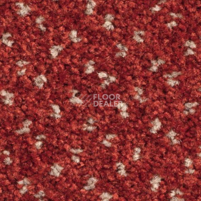 Ковролин Balsan Capitol Capitol 550 фото 1 | FLOORDEALER