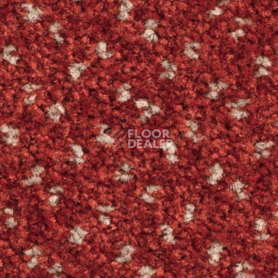 Ковролин Balsan Capitol Capitol 550 фото 1 | FLOORDEALER