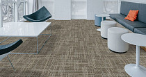 Casini Casini 546 фото 2 | FLOORDEALER