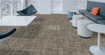 Casini Casini 546 фото 2 | FLOORDEALER