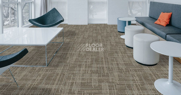 Casini Casini 546 фото 2 | FLOORDEALER