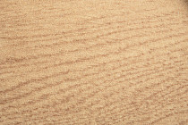 Toronto 1757 010 фото 2 | FLOORDEALER