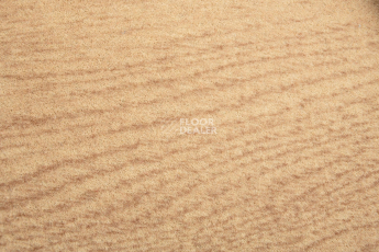 Toronto 1757 010 фото 2 | FLOORDEALER