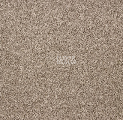 Ковролин Big Faye 334 фото 1 | FLOORDEALER
