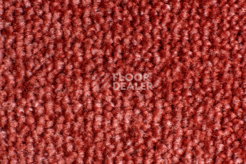 AW Masquerade Messalina / Мессалина 10 фото 2 | FLOORDEALER