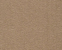 Ковролин Best Wool Pure Tasman 121 фото 1 | FLOORDEALER