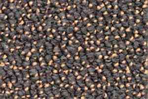 Ковролин Dura Level Two 780 фото  | FLOORDEALER