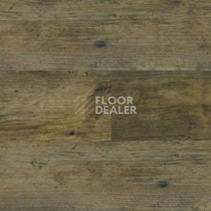 Линолеум Polyflor Expona Wood 6157 фото 1 | FLOORDEALER