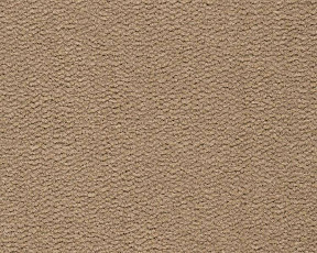 Ковролин Best Wool Pure Tasman 121 фото 1 | FLOORDEALER