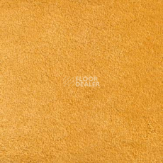 Ковролин Vorwerk Hermelin 2d08 фото 1 | FLOORDEALER