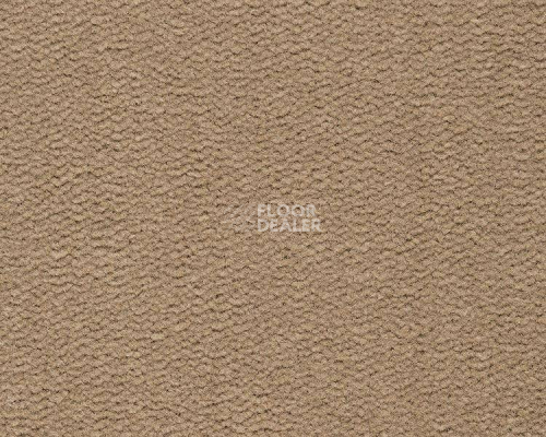 Ковролин Best Wool Pure Tasman 121 фото 1 | FLOORDEALER