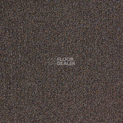 Ковровая плитка Desso Arcade Arcade B023 2931 фото 1 | FLOORDEALER